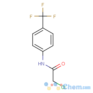 CAS No:2707-23-5 2-chloro-N-[4-(trifluoromethyl)phenyl]acetamide