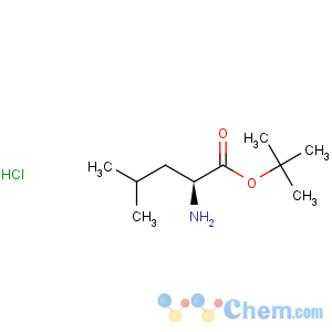 CAS No:2748-02-9 L-Leucine tert-butyl ester hydrochloride