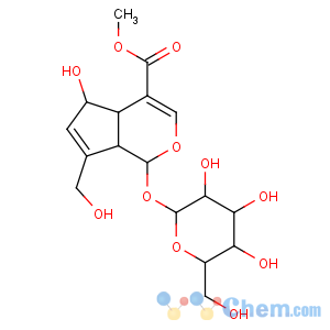 CAS No:27530-67-2 Cyclopenta[c]pyran-4-carboxylicacid, 1-(b-D-glucopyranosyloxy)-1,4a,5,7a-tetrahydro-5-hydroxy-7-(hydroxymethyl)-,methyl ester, (1S,4aS,5R,7aS)-