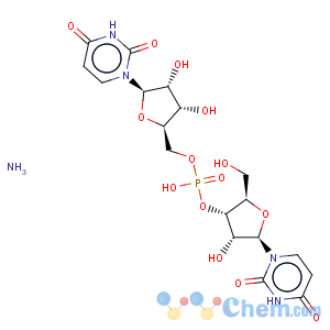 CAS No:27552-95-0 Uridine, uridylyl-(3'®