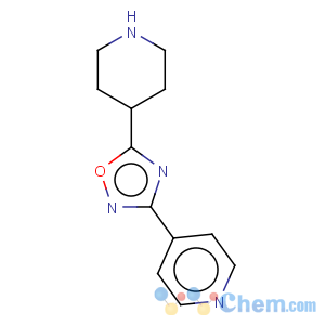 CAS No:276237-03-7 Pyridine,4-[5-(4-piperidinyl)-1,2,4-oxadiazol-3-yl]-
