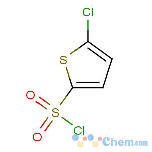 CAS No:2766-74-7 5-chlorothiophene-2-sulfonyl chloride