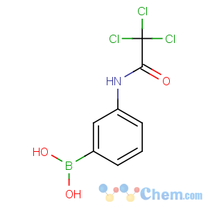 CAS No:276669-74-0 [3-[(2,2,2-trichloroacetyl)amino]phenyl]boronic acid