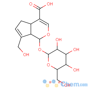 CAS No:27741-01-1 (1S,4aS,7aS)-7-(hydroxymethyl)-1-[(2S,3R,4S,5S,6R)-3,4,<br />5-trihydroxy-6-(hydroxymethyl)oxan-2-yl]oxy-1,4a,5,<br />7a-tetrahydrocyclopenta[c]pyran-4-carboxylic acid