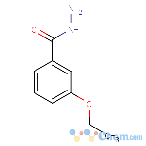 CAS No:27830-16-6 3-ethoxybenzohydrazide
