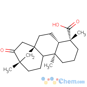 CAS No:27975-19-5 Isosteviol