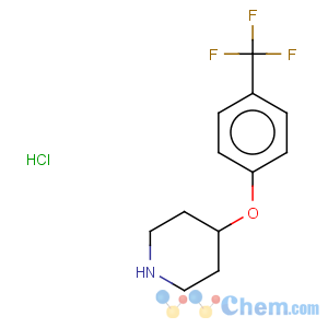 CAS No:28033-37-6 4-[4-(Trifluoromethoxy)phenoxy]piperidine