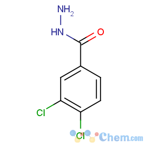 CAS No:28036-91-1 3,4-dichlorobenzohydrazide