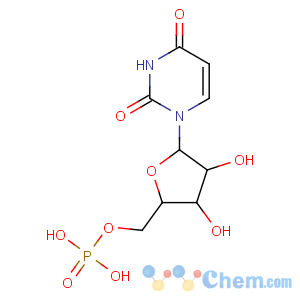 CAS No:28086-43-3 [5-(2,4-dioxopyrimidin-1-yl)-3,4-dihydroxyoxolan-2-yl]methyl dihydrogen<br />phosphate