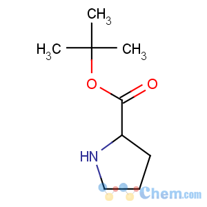 CAS No:2812-46-6 tert-butyl pyrrolidine-2-carboxylate