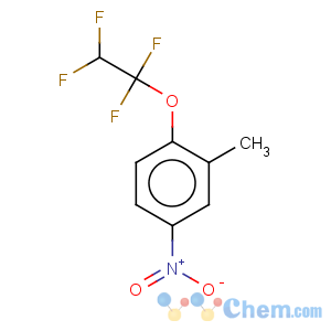 CAS No:28202-30-4 Benzene,2-methyl-4-nitro-1-(1,1,2,2-tetrafluoroethoxy)-