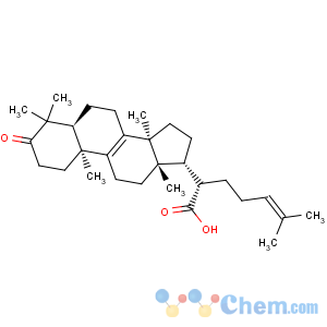 CAS No:28282-25-9 Lanosta-8,24-dien-21-oicacid, 3-oxo-, (13a,14b,17a,20S)-