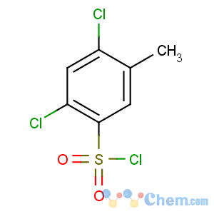 CAS No:28286-86-4 2,4-dichloro-5-methylbenzenesulfonyl chloride