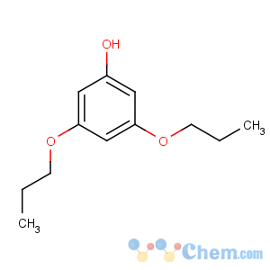 CAS No:28334-99-8 3,5-dipropoxyphenol