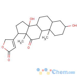 CAS No:2842-85-5 Card-20(22)-enolide,3,14-dihydroxy-12-oxo-, (3b,5b)- (9CI)