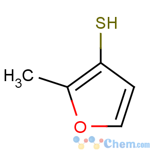CAS No:28588-74-1 2-methylfuran-3-thiol
