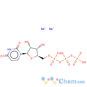 CAS No:285978-18-9 Uridine-13C9-15N25'-(tetrahydrogen triphosphate), sodium salt (9CI)