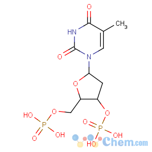 CAS No:2863-04-9 thymidine 3',5'-diphosphate