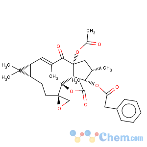 CAS No:28649-59-4 Benzeneacetic acid,(1aR,2'R,2E,4aR,6S,7S,7aR,8S,11aS)-4a,8-bis(acetyloxy)-1,1a,4,4a,5,6,7,7a,8,10,11,11a-dodecahydro-1,1,3,6-tetramethyl-4-oxospiro[9H-cyclopenta[a]cyclopropa[f]cycloundecene-9,2'-oxiran]-7-ylester