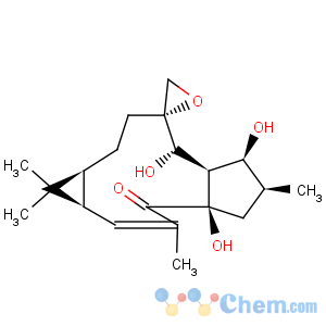CAS No:28649-60-7 Spiro[9H-cyclopenta[a]cyclopropa[f]cycloundecene-9,2'-oxiran]-4(1H)-one,1a,4a,5,6,7,7a,8,10,11,11a-decahydro-4a,7,8-trihydroxy-1,1,3,6-tetramethyl-,(1aR,2E,2'R,4aR,6S,7S,7aR,8S,11aS)-