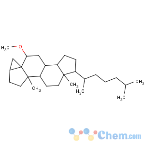 CAS No:2867-93-8 3,5-Cyclocholestane,6-methoxy-, (3a,5R,6b)-