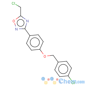 CAS No:286841-02-9 3-{4-[(4-Chlorobenzyl)oxy]phenyl}-5-(chloromethyl)-1,2,4-oxadiazole