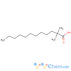 CAS No:2874-73-9 Dodecanoic acid,2,2-dimethyl-