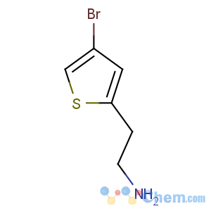 CAS No:28783-37-1 2-(4-bromothiophen-2-yl)ethanamine