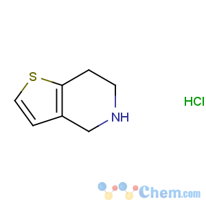 CAS No:28783-41-7 4,5,6,7-tetrahydrothieno[3,2-c]pyridine