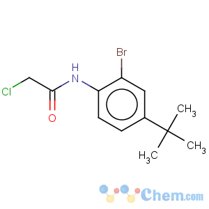 CAS No:287923-75-5 n1-[2-bromo-4-(tert-butyl)phenyl]-2-chloroacetamide