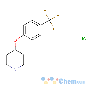CAS No:287952-09-4 4-[4-(trifluoromethyl)phenoxy]piperidine