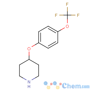 CAS No:287952-67-4 4-[4-(trifluoromethoxy)phenoxy]piperidine