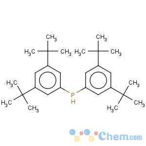 CAS No:287960-85-4 Phosphine,bis[3,5-bis(1,1-dimethylethyl)phenyl]-