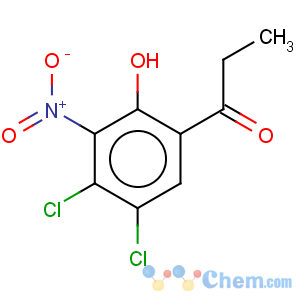 CAS No:288401-10-5 1-Propanone,1-(4,5-dichloro-2-hydroxy-3-nitrophenyl)-