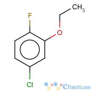 CAS No:289039-34-5 Benzene,4-chloro-2-ethoxy-1-fluoro-