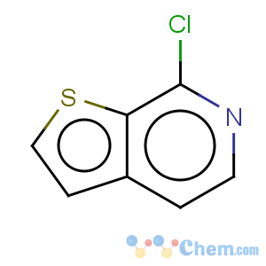 CAS No:28948-58-5 Thieno[2,3-c]pyridine,7-chloro-
