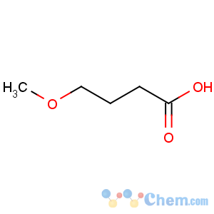 CAS No:29006-02-8 Butanoic acid,4-methoxy-