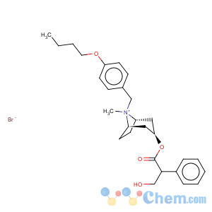 CAS No:29025-14-7 8-Azoniabicyclo[3.2.1]octane,8-[(4-butoxyphenyl)methyl]-3-(3-hydroxy-1-oxo-2-phenylpropoxy)-8-methyl-,bromide, [3(S)-endo]- (9CI)