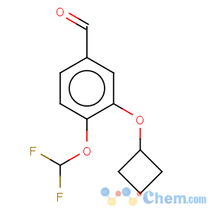 CAS No:290307-39-0 3-Cyclobutoxy-4-difluoromethoxy-benzaldehyde