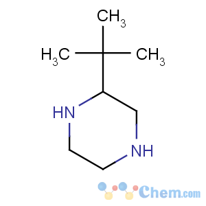 CAS No:292063-44-6 Piperazine,2-(1,1-dimethylethyl)-