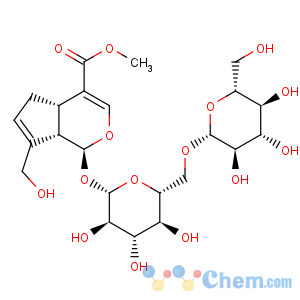 CAS No:29307-60-6 Cyclopenta[c]pyran-4-carboxylicacid, 1-[(6-O-b-D-glucopyranosyl-b-D-glucopyranosyl)oxy]-1,4a,5,7a-tetrahydro-7-(hydroxymethyl)-,methyl ester, (1S,4aS,7aS)-