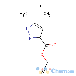 CAS No:294852-57-6 ethyl 5-tert-butyl-1H-pyrazole-3-carboxylate