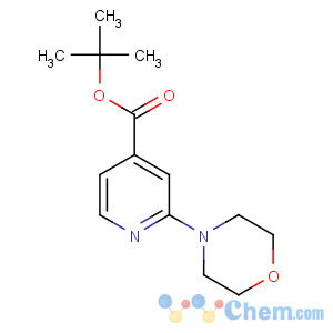 CAS No:295349-63-2 tert-butyl 2-morpholin-4-ylpyridine-4-carboxylate