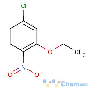 CAS No:29604-25-9 4-chloro-2-ethoxy-1-nitrobenzene