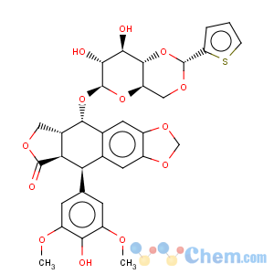 CAS No:29767-20-2 Teniposide