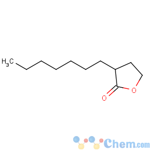 CAS No:2983-21-3 2(3H)-Furanone,3-heptyldihydro-