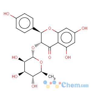 CAS No:29838-67-3 Astilbin