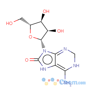 CAS No:29851-57-8 Adenosine,7,8-dihydro-8-oxo-