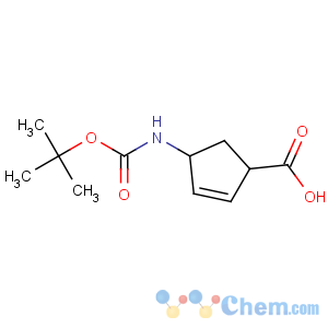 CAS No:298716-03-7 (1R,<br />4R)-4-[(2-methylpropan-2-yl)oxycarbonylamino]cyclopent-2-ene-1-<br />carboxylic acid