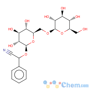 CAS No:29883-15-6 D(-)-Amygdalin hydrate